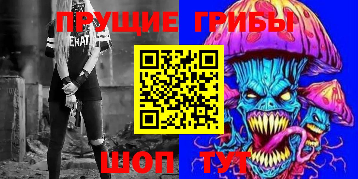 Псилоцибиновые грибы Psilocybe Среднеуральск